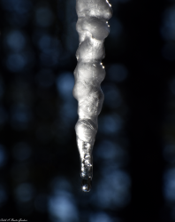 Thumbnail of Icicle