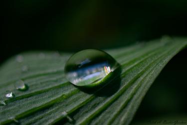 Thumbnail of Water Drop
